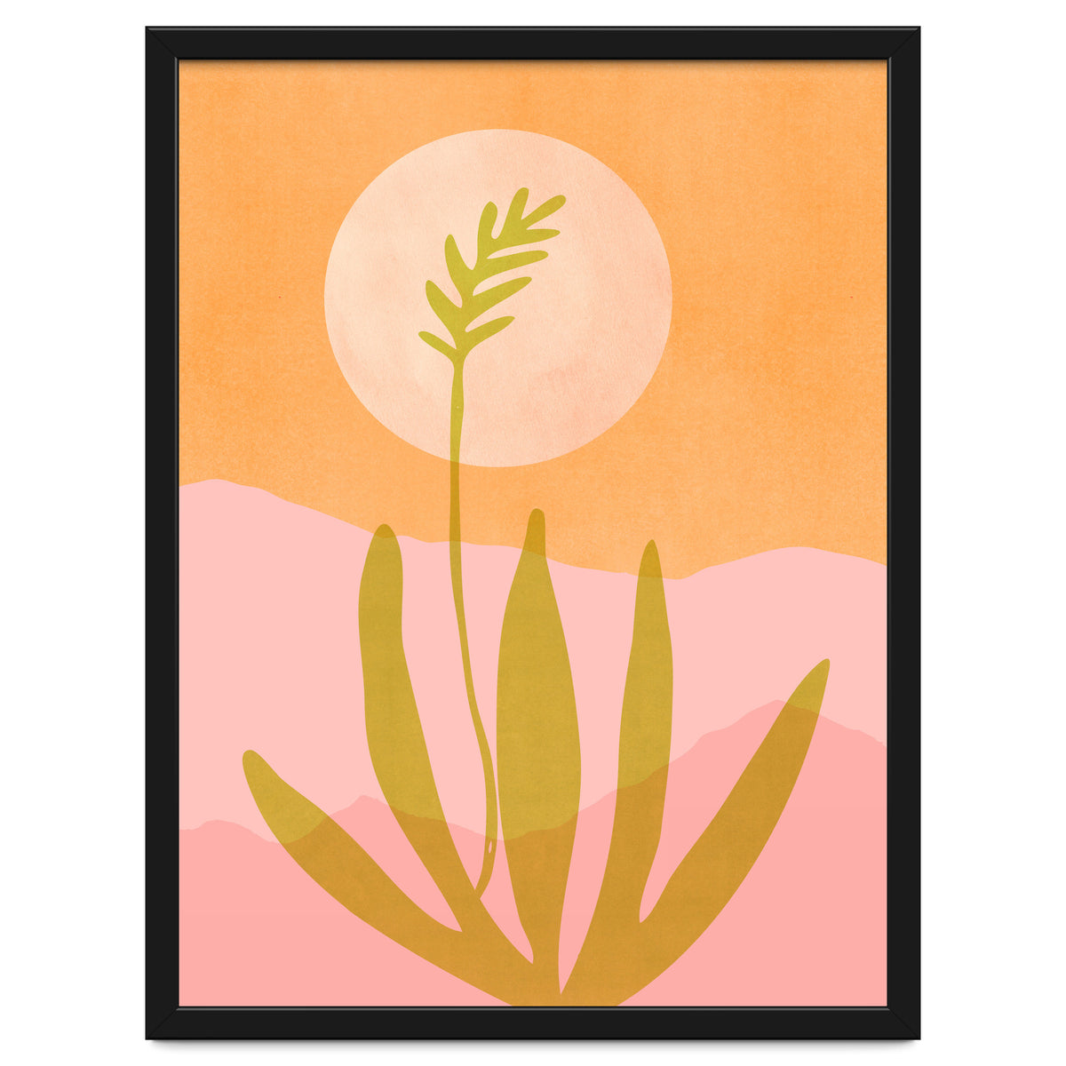 Desert Moon With Agave