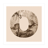 Oh Deer (Print Only) thumbnail
