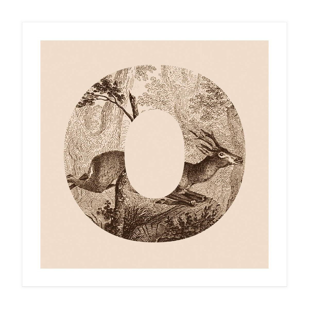 Oh Deer (Print Only)