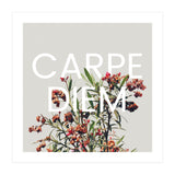 Carpe Diem (Print Only) thumbnail