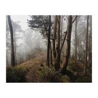 Mt. Davidson I (Print Only)