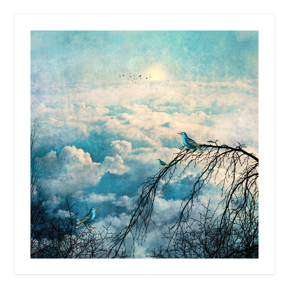 HEAVENLY BIRDS III-B4 (Print Only)