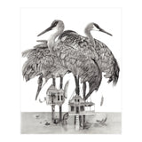 Crane Houses (Print Only) thumbnail