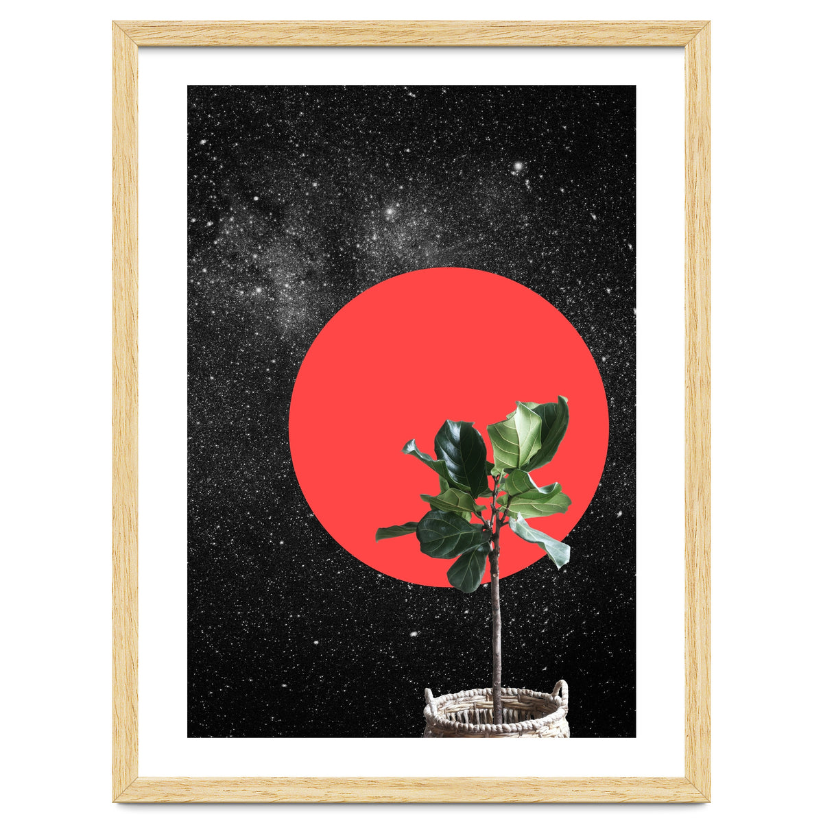 "Bonsai" - Digital Collage