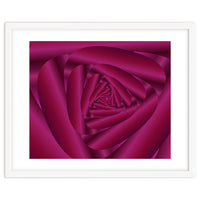 Pink Color Rose Swirl Art