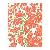 Bougainvillea Blush (Print Only) thumbnail