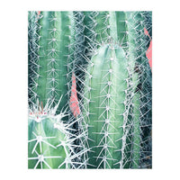 Cactus Up Close (Print Only)