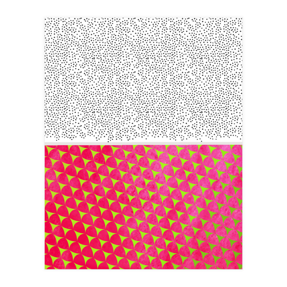 Dragon Fruit Deconstructed (Print Only)