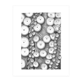 Octopus no. 3 (Print Only) thumbnail