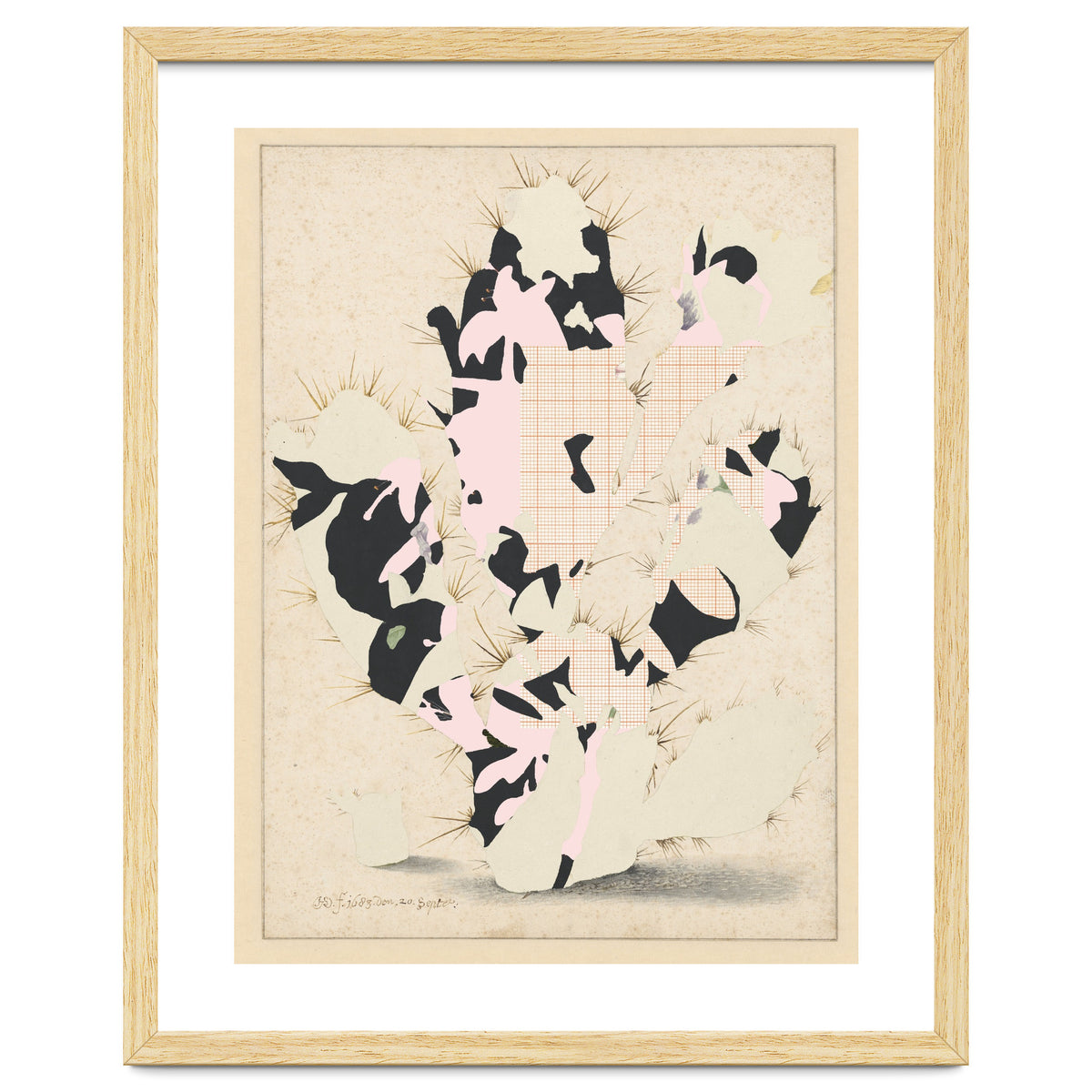 The First Plant · E