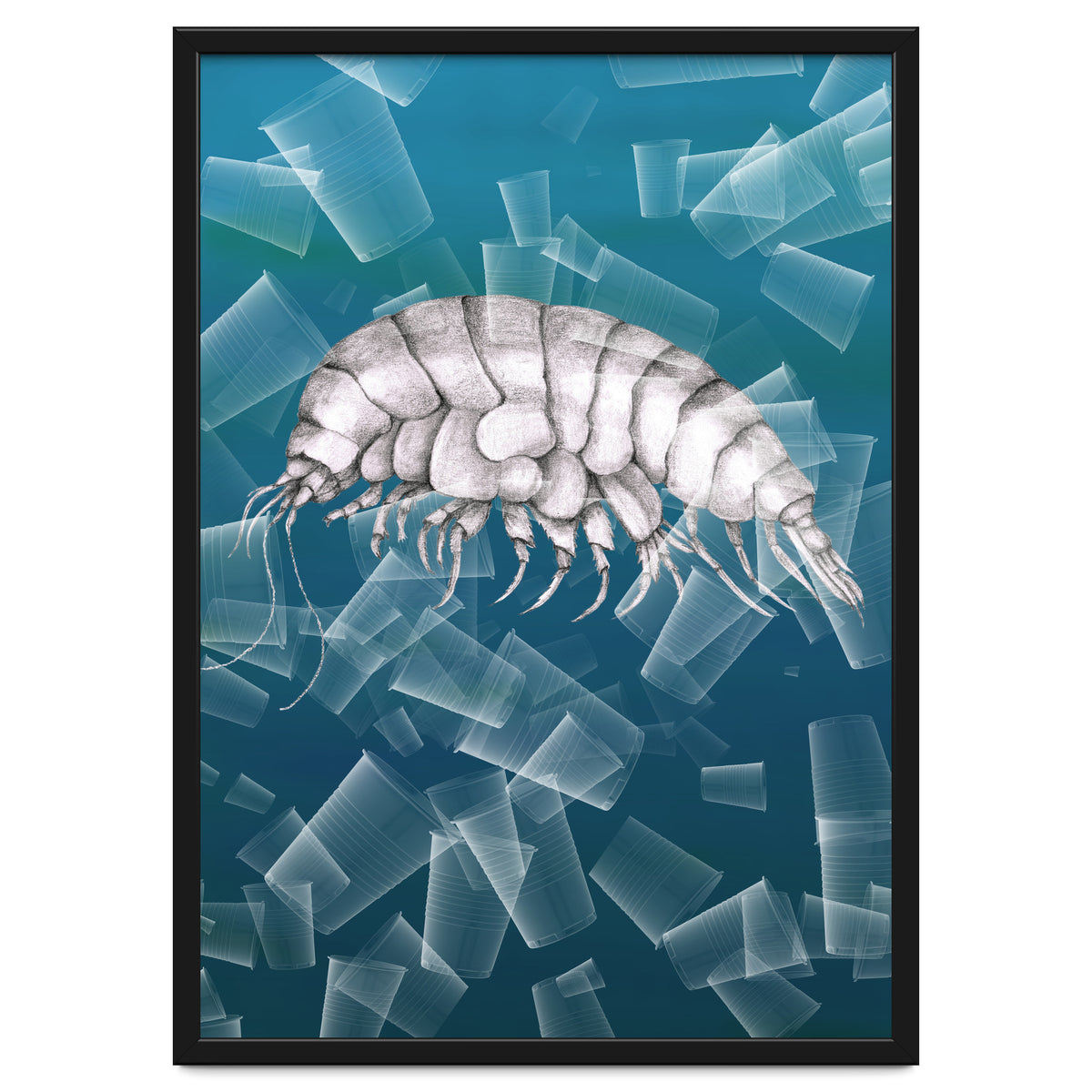 Eurythenes Plasticus