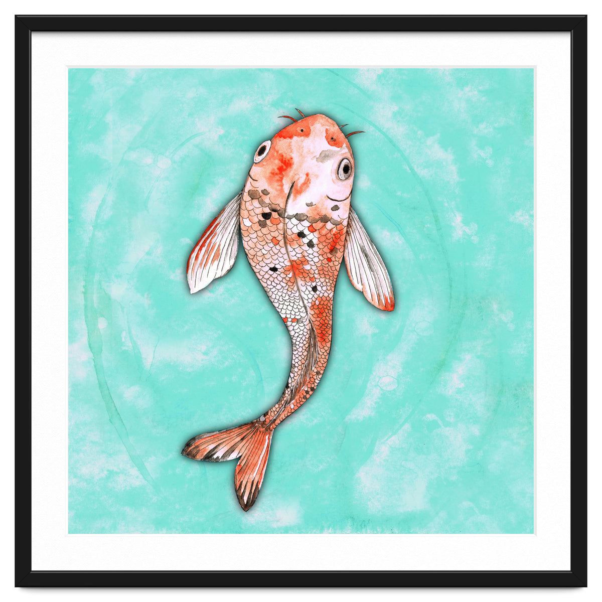 Koi fish