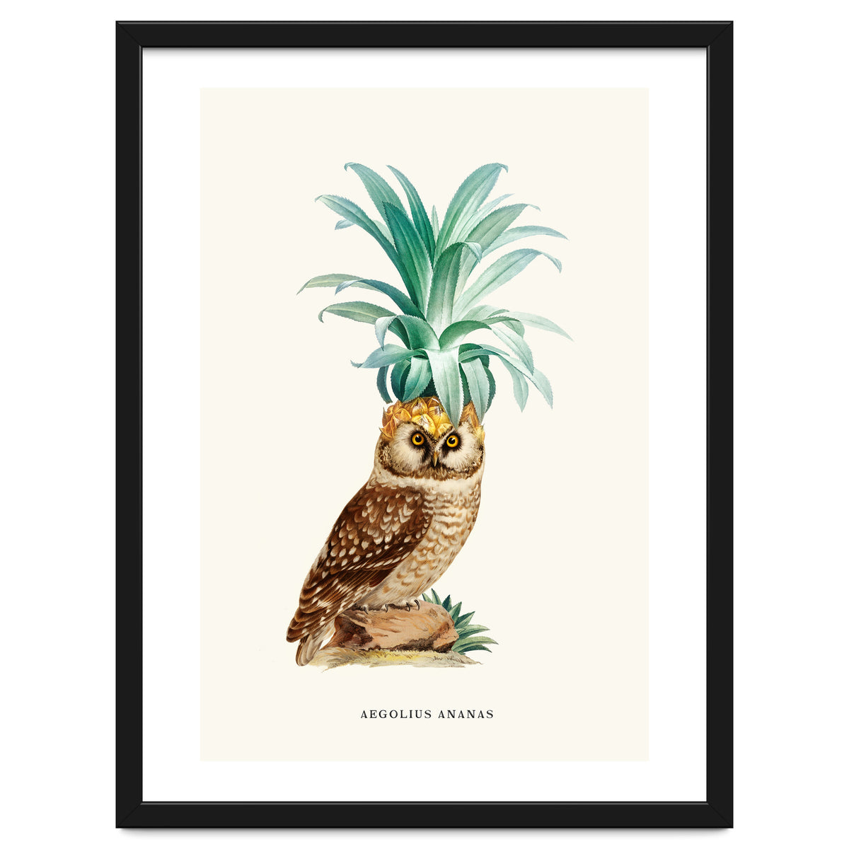 Pineapple Owl Vintage