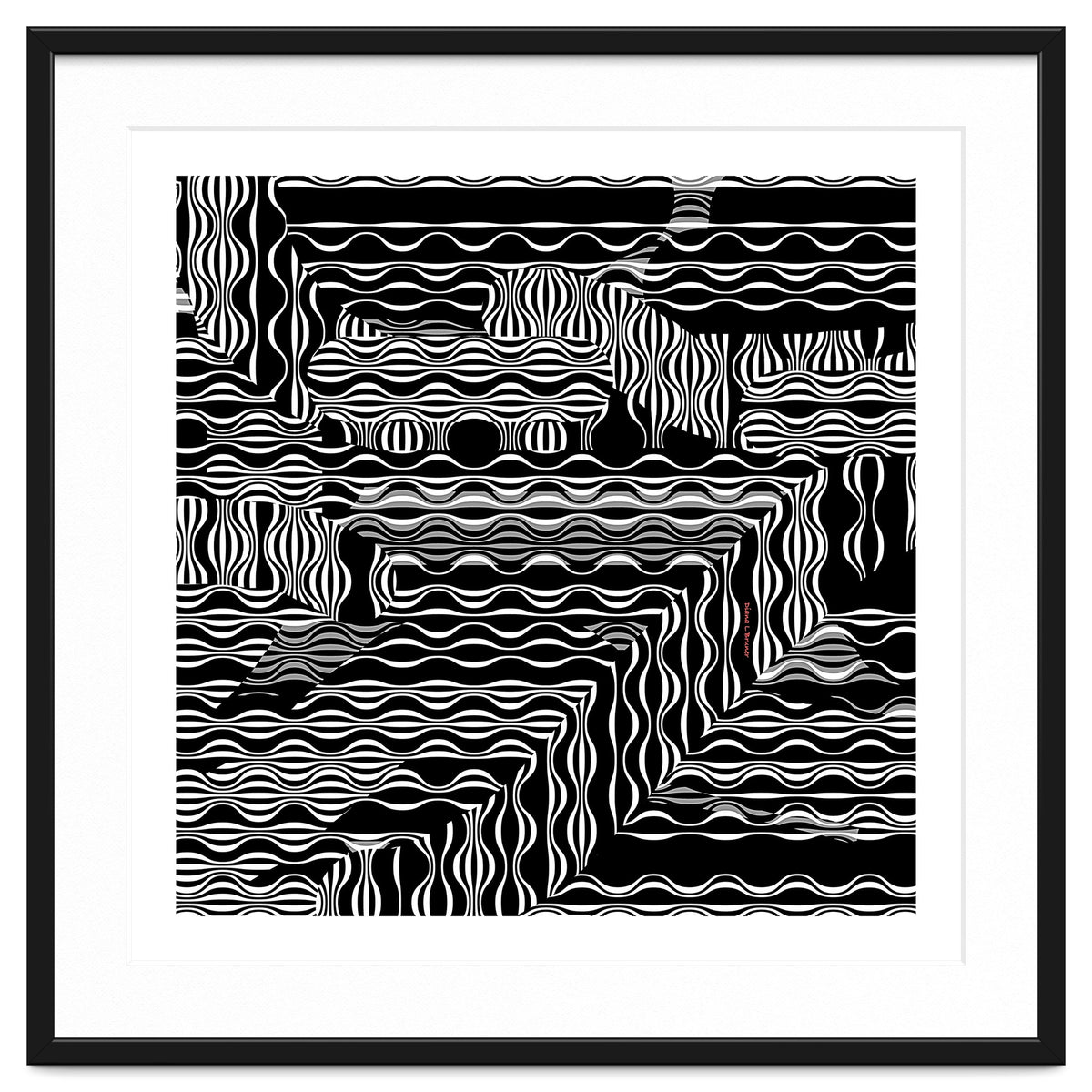 BLACK AND WHITE EXOTIC