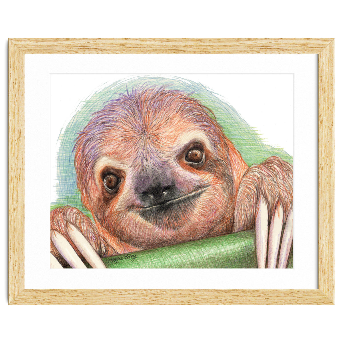 Smiling Sloth