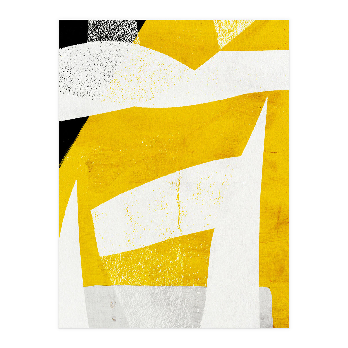 Coiote 3 (Print Only)