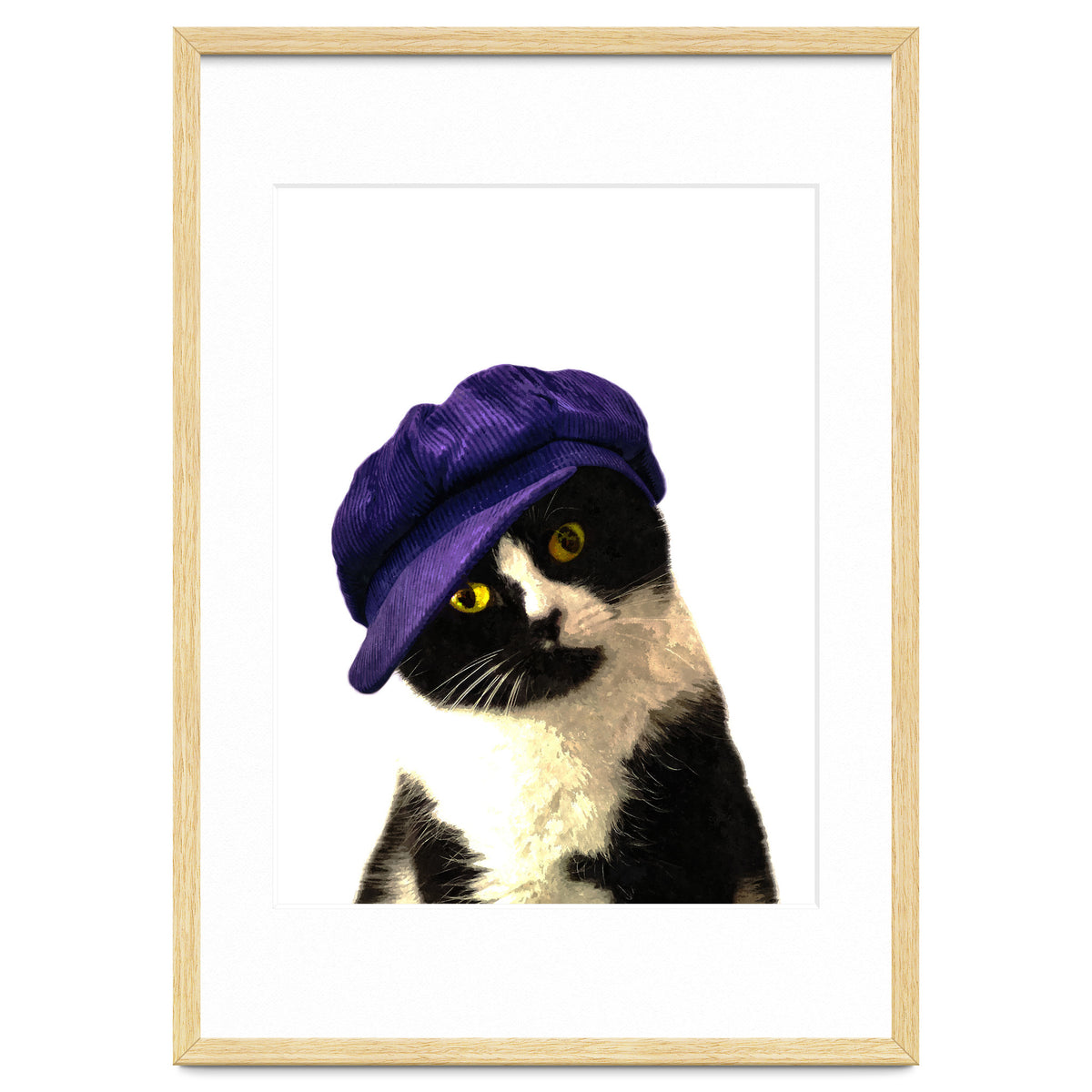 Cat Blue Hat