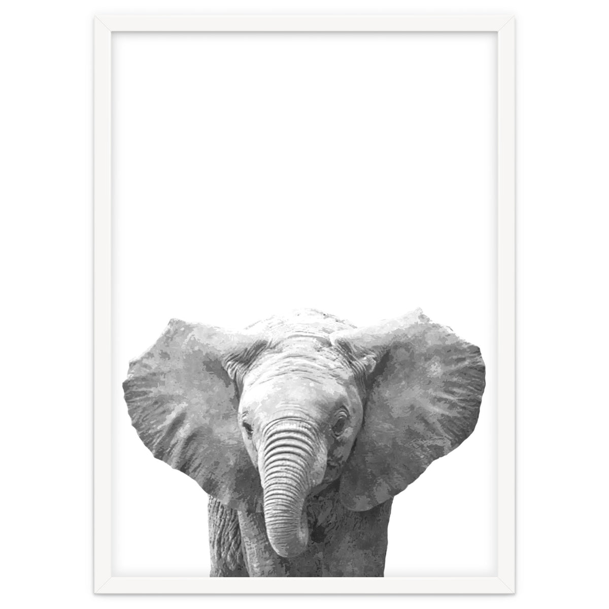 Black and White Baby Elephant