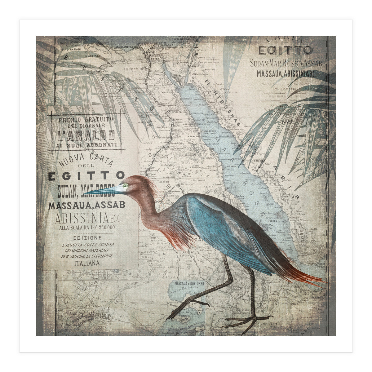 Egypt Heron (Print Only)