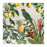 Fruit Paradise (Print Only) thumbnail