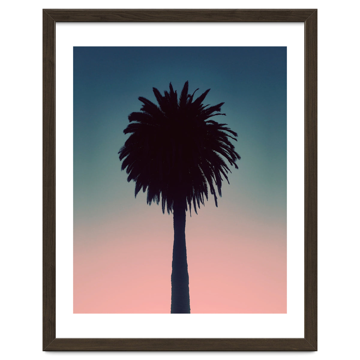 Sundown Palm