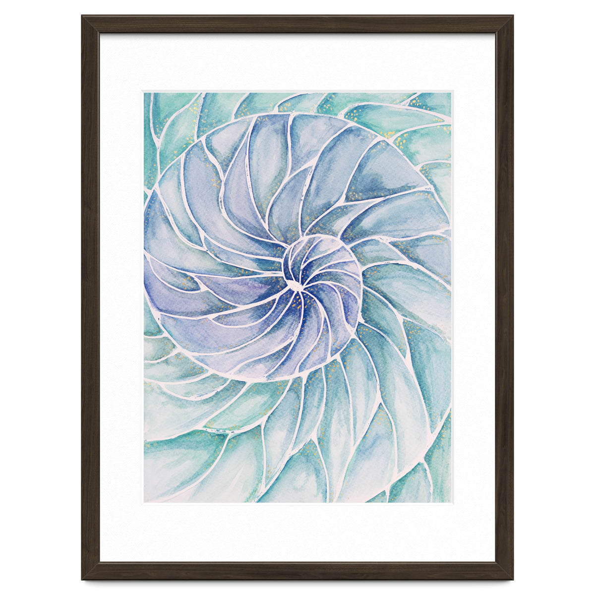 The inside of a shell