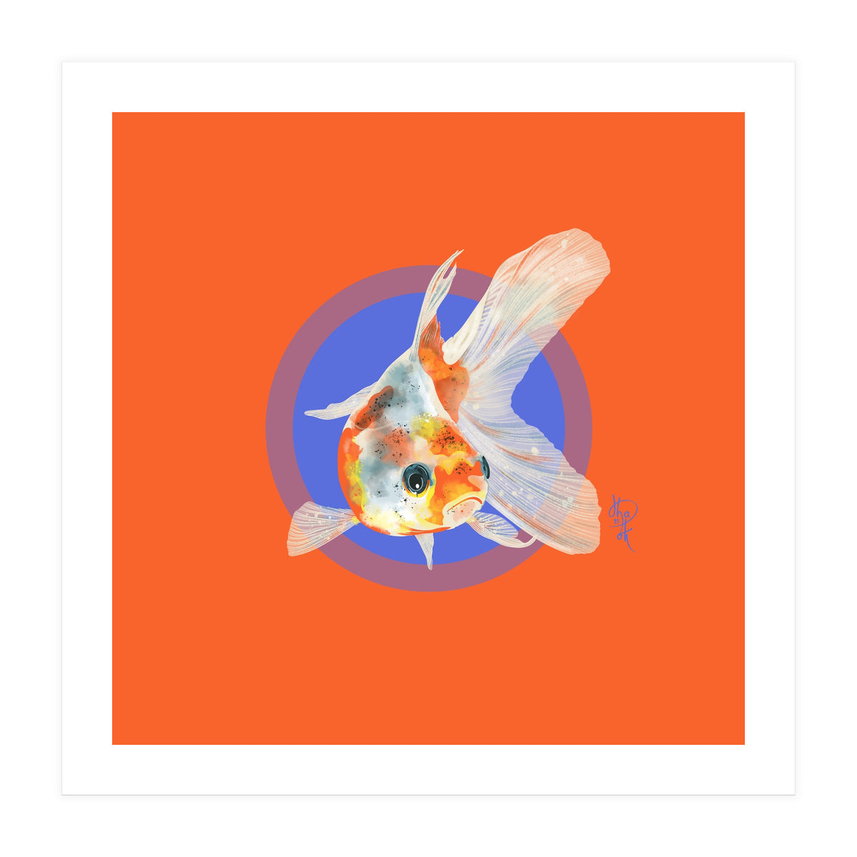 Koi Carp (Print Only)