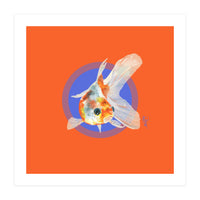 Koi Carp (Print Only)