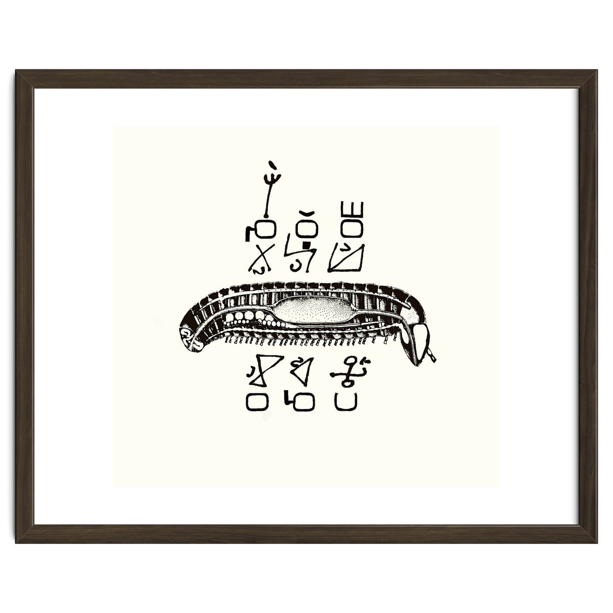 Diplopod David Felix