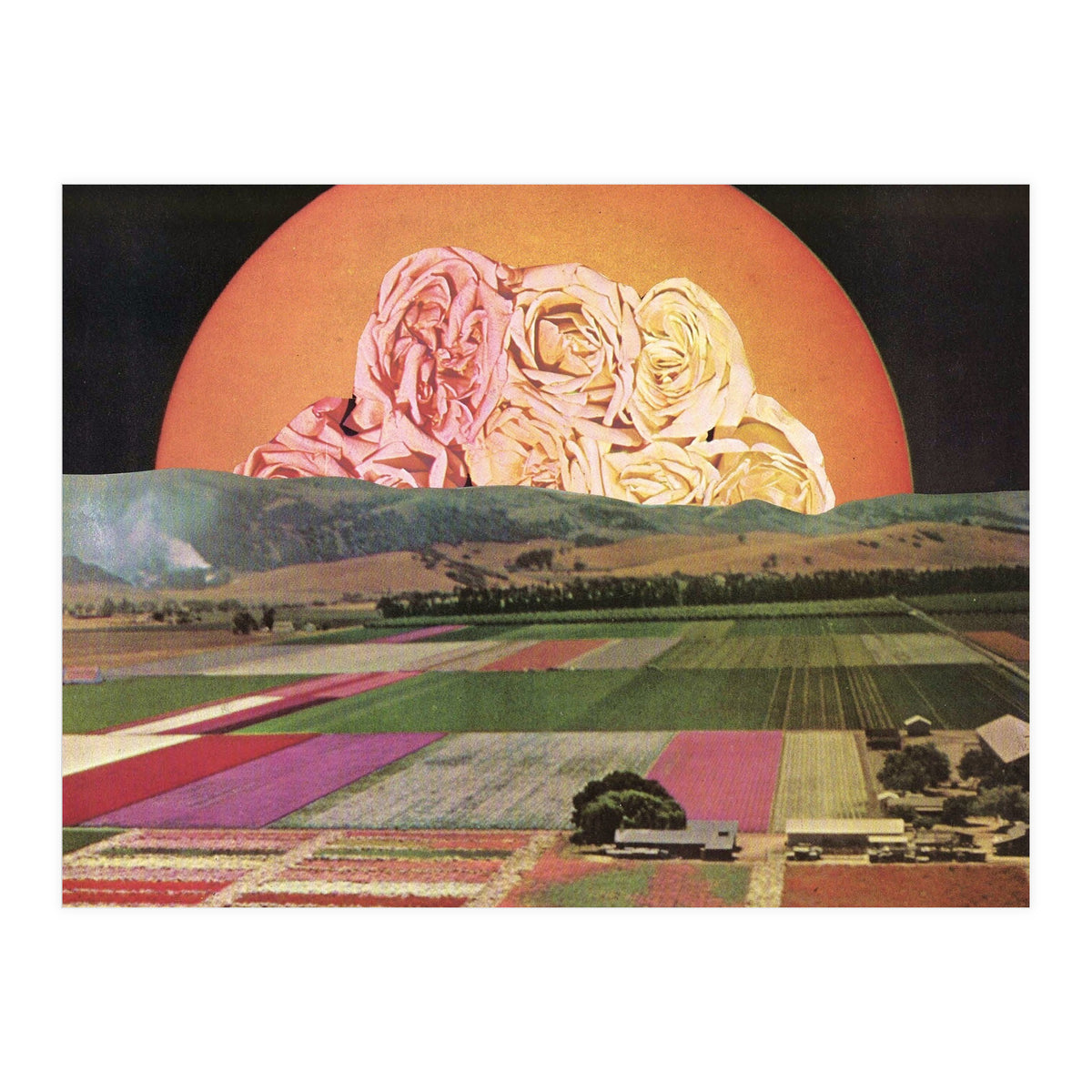 Untitled (Print Only)