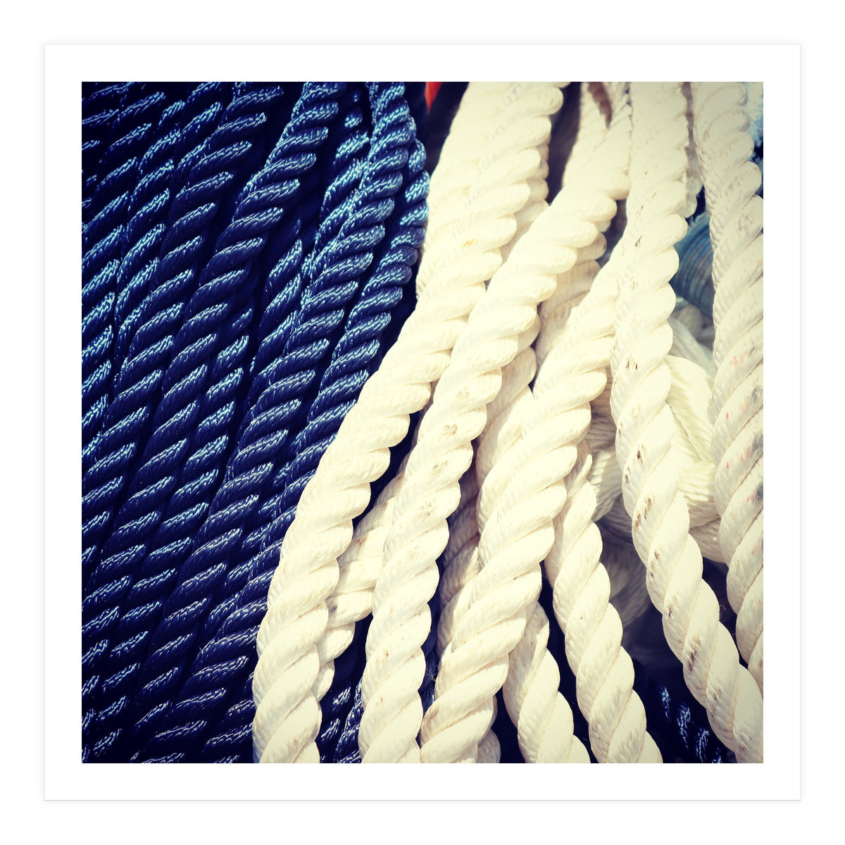 Blue and white fishing rope (Print Only)