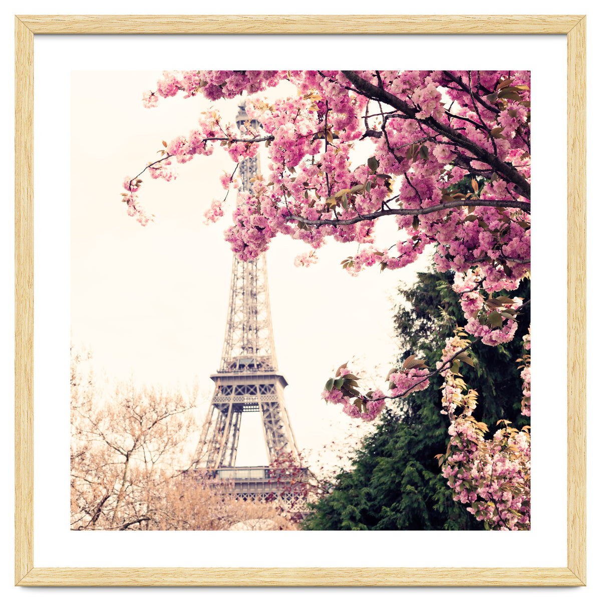 Paris in the Spring