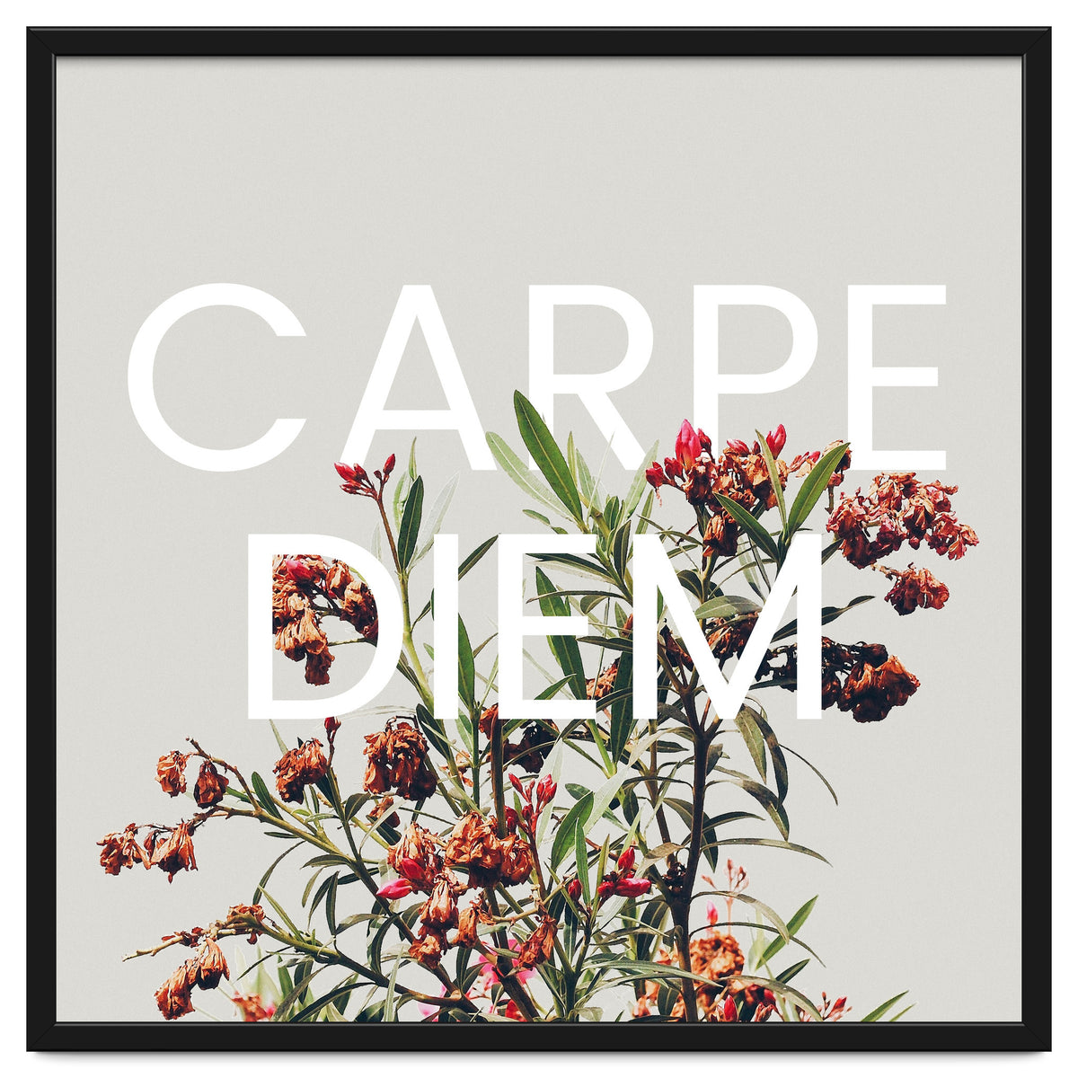 Carpe Diem