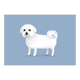 Bichon Frise (Print Only) thumbnail