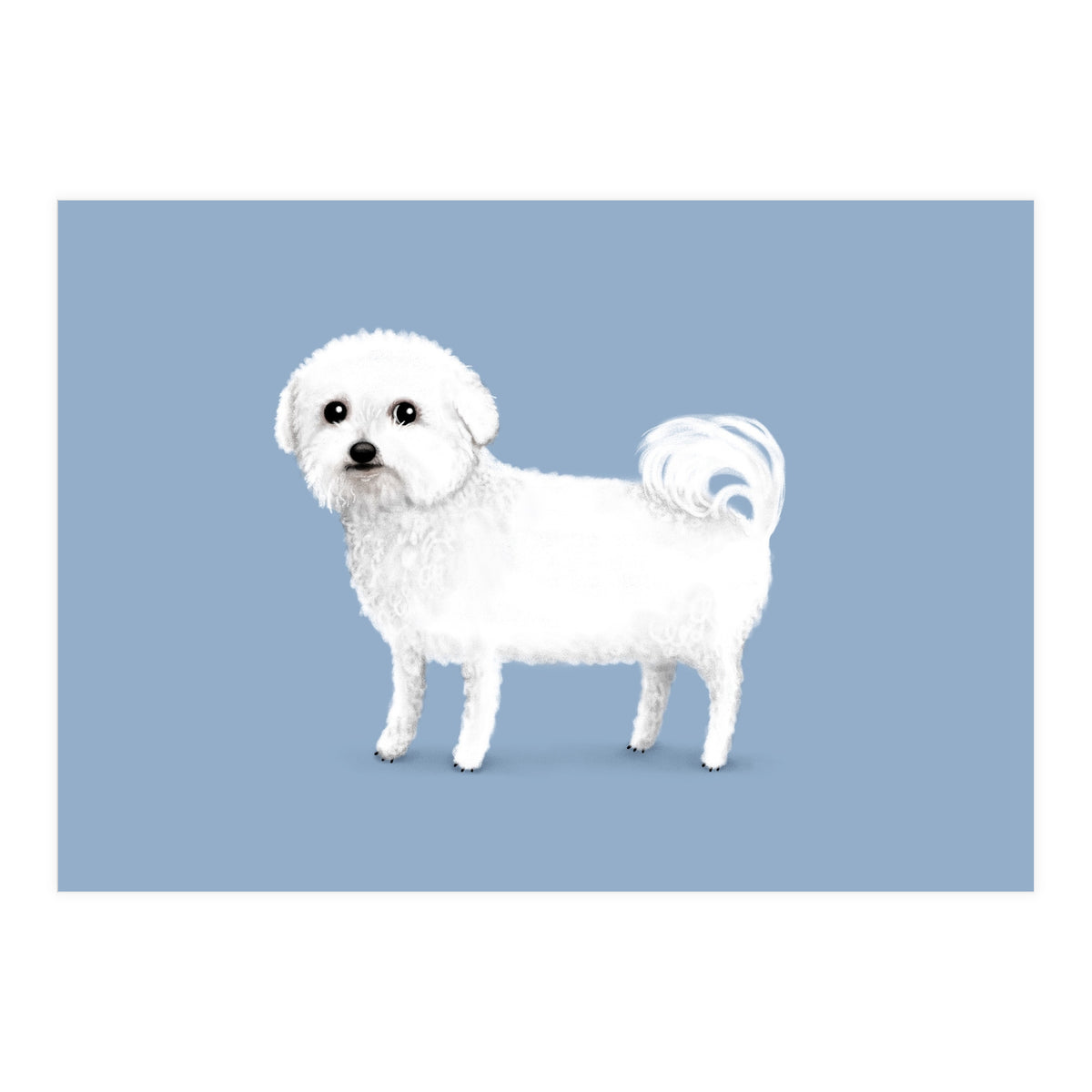 Bichon Frise (Print Only)