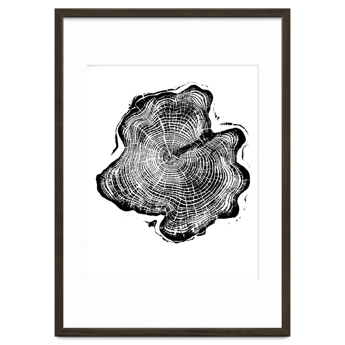 Alaskan Cypress, Tree Ring Art Print, Woodblock