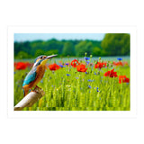 Bird and flower (Print Only) thumbnail