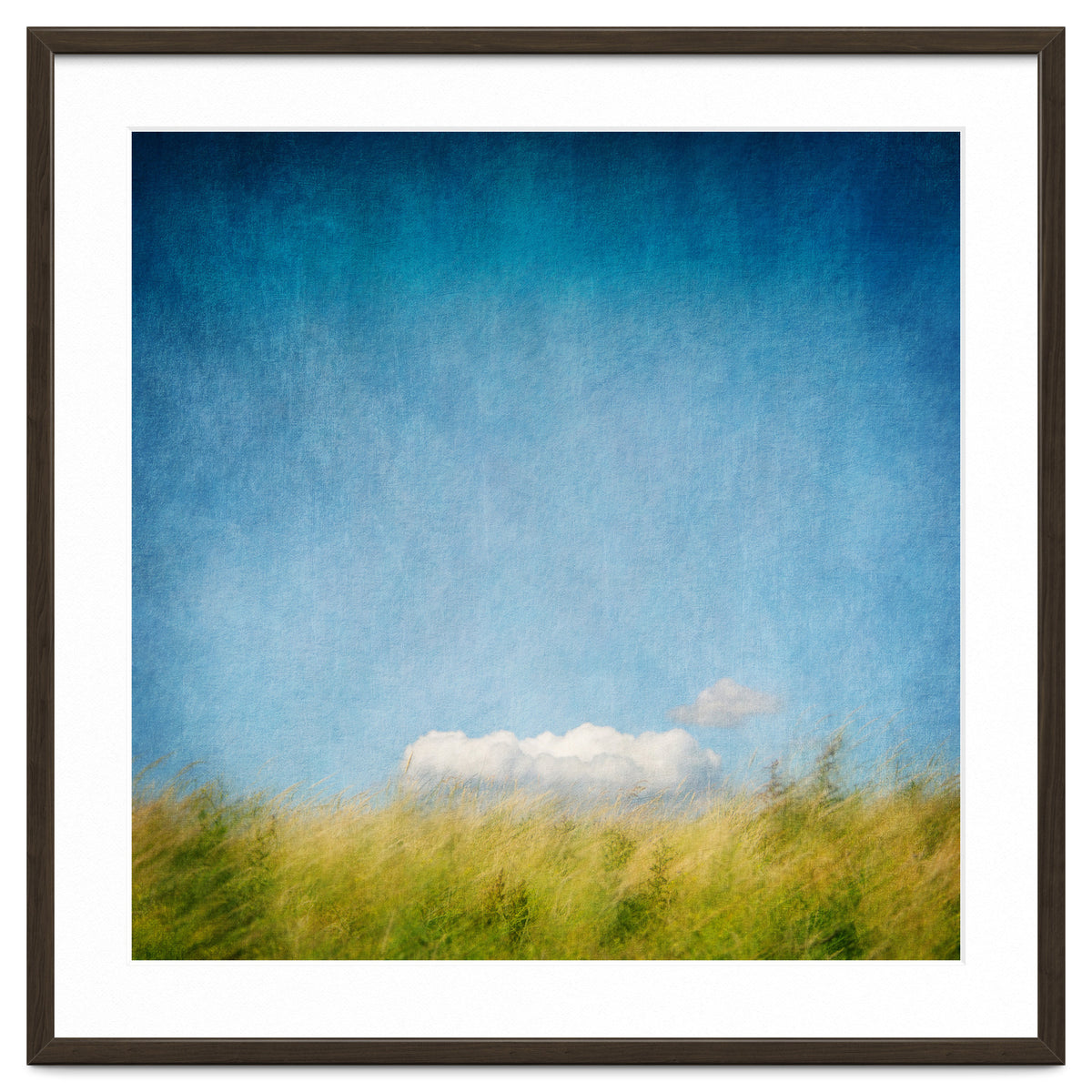 The Cloud That Fell From The Sky