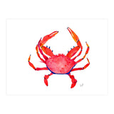 Red Crab (Print Only) thumbnail
