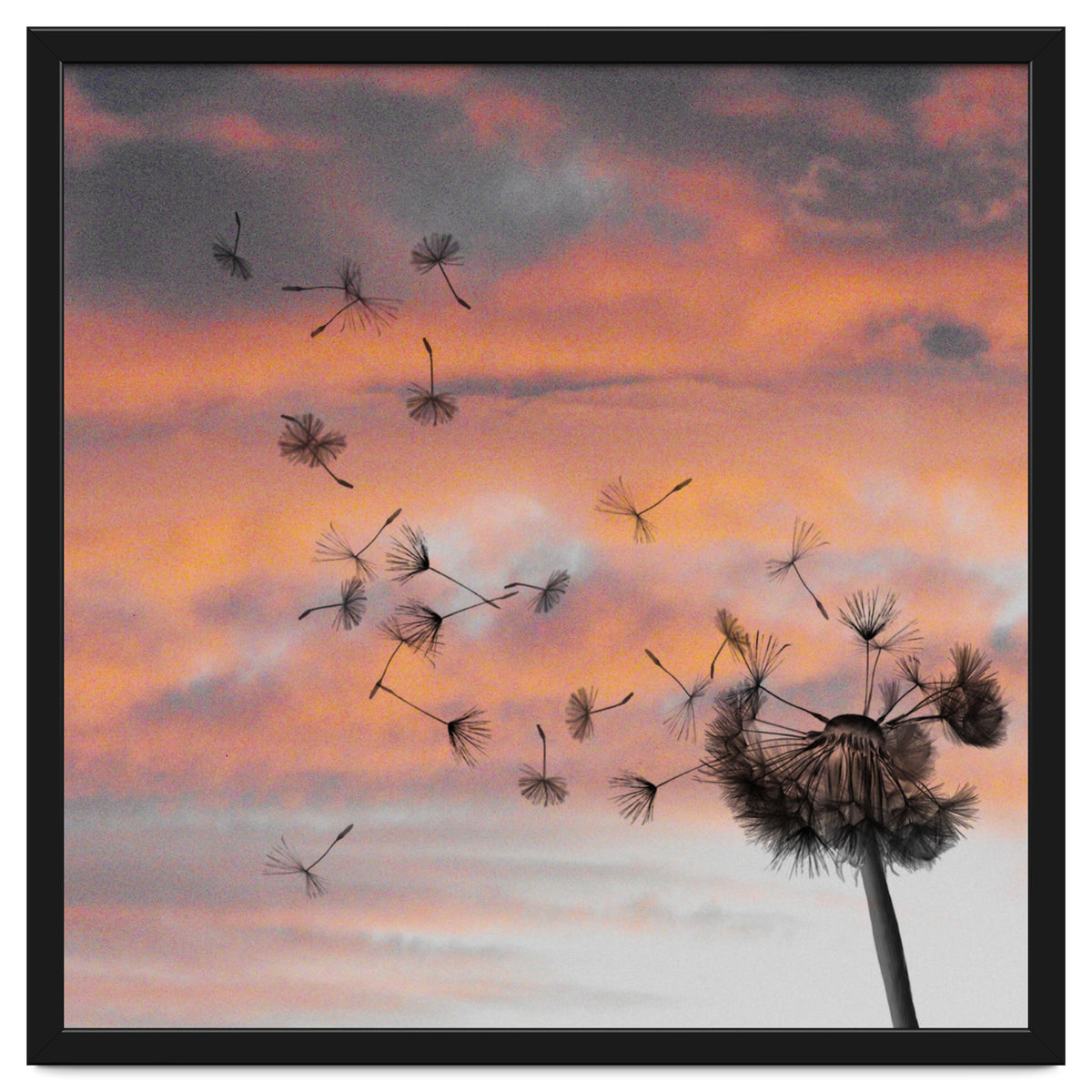 And The Days Went By