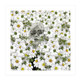 May The Days Be Aimless (Print Only) thumbnail