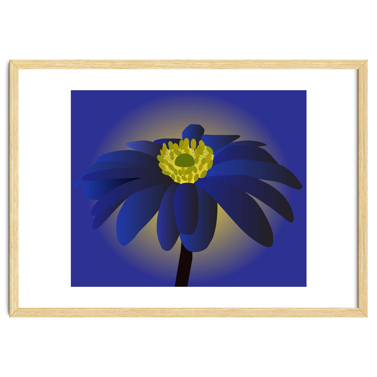 Anemone Blanda Flower Art