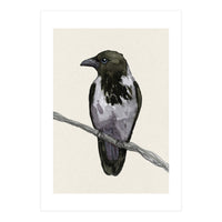 Hooded crow watercolor (Print Only)