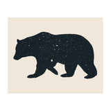 Bär (Print Only) thumbnail