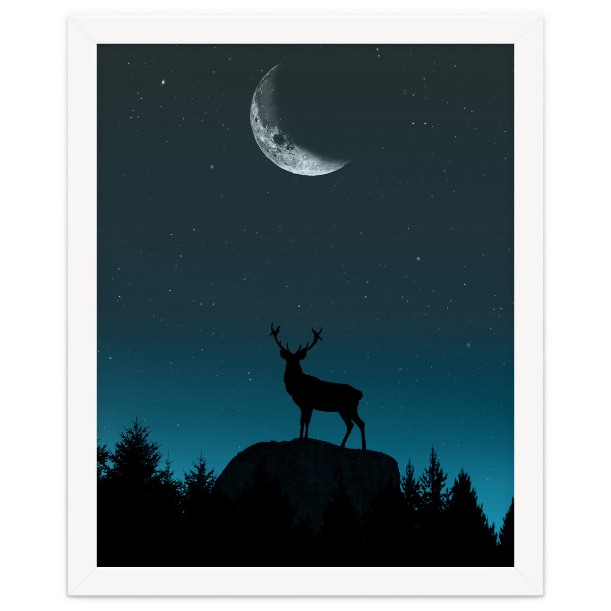 Wild Nature - Nocturne