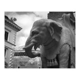 Elephant and Obelisk (Print Only) thumbnail