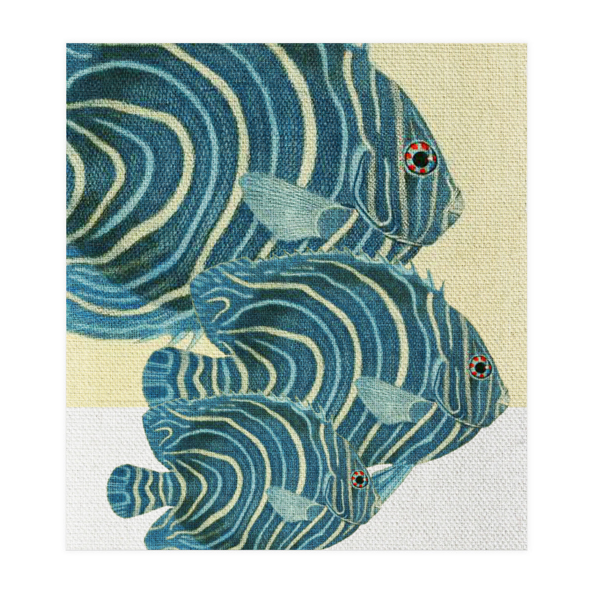 Fish Classic Designs 9 (Print Only)