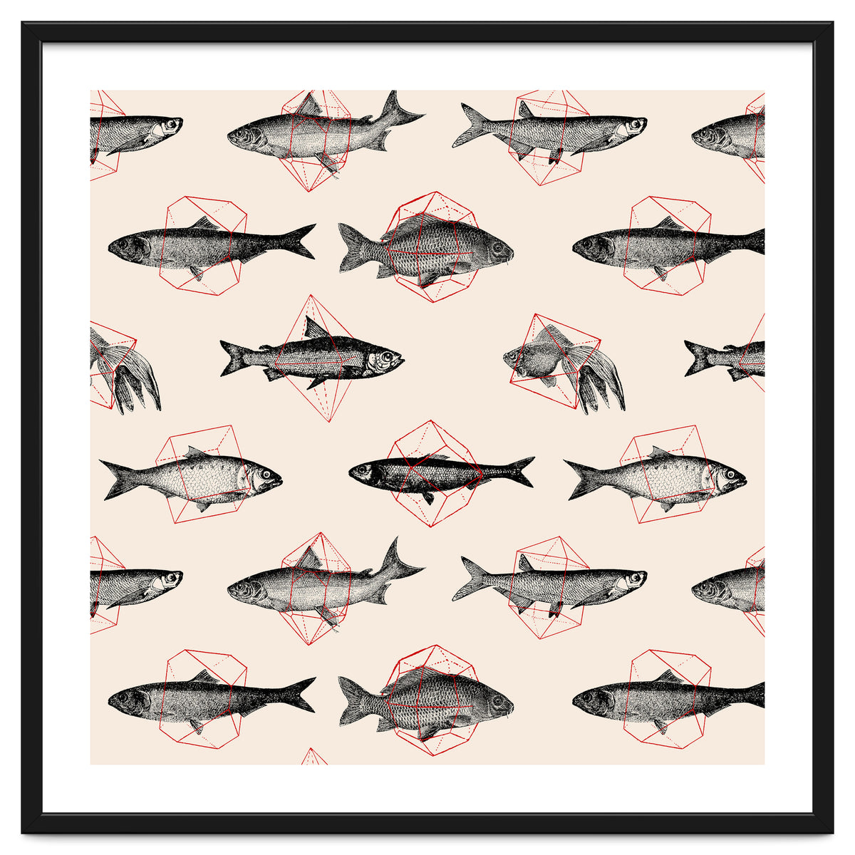 Fish In Geometrics