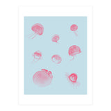 Jellyfish (Print Only) thumbnail