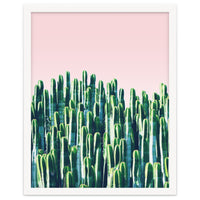 Cactus & Sunset II